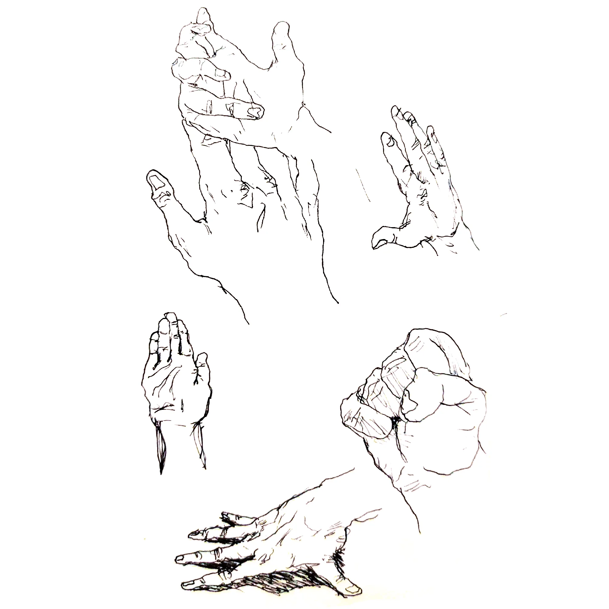 Illustration